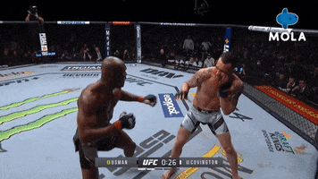 Angry Ultimate Fighting Championship GIF by MolaTV
