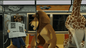 New York Nyc GIF