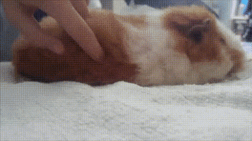 Annoyed GIF