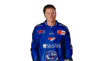 Tigershockey Sticker by Straubing Tigers