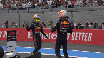 Happy Red Bull GIF by Formula 1