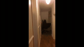 Ben O'Brien Chaning The Game GIF