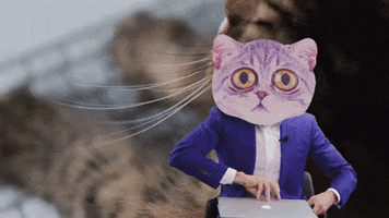 Equipe Beaudet Hypotheque GIF