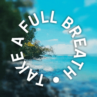 Nature GIF