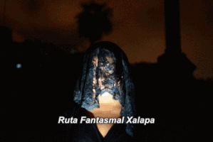 PoliticaalDia veracruz xalapa ruta fantasmal GIF