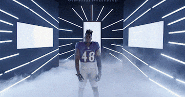Dance Reaction GIF by Baltimore Ravens