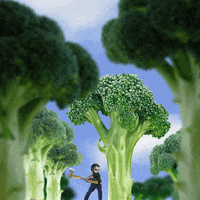 trees lol GIF by Justin Gammon