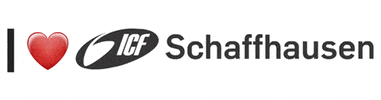 Celebration We Stand GIF by ICF Schaffhausen