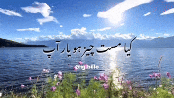 Urdu Meme GIF