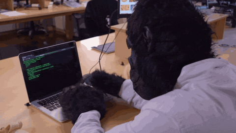 Coding Monkey Business GIF by Checkmate Digital - Find & Share on GIPHY