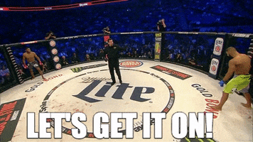 let's go fighting GIF by Bellator