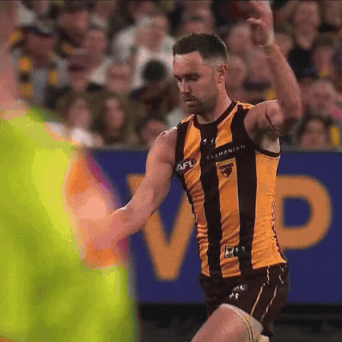 Hawthorn Hawks Gunners GIF