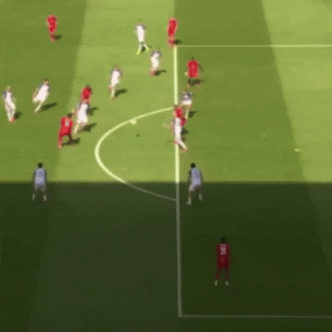 Fifa World Cup Football GIF