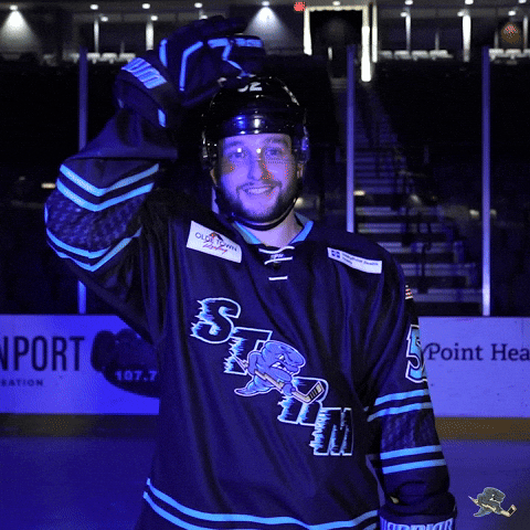 Happy Hockey GIF by Quad City Storm