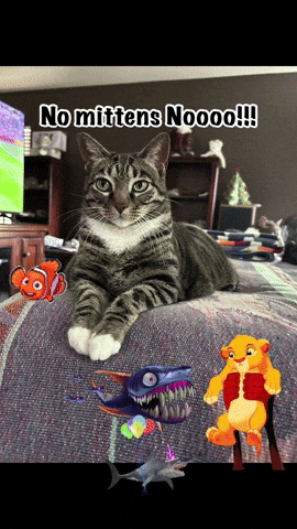 No Mittens Noooo GIF