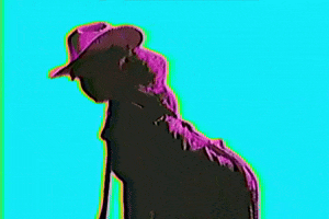 Cowgirl Toro GIF by Remi Wolf