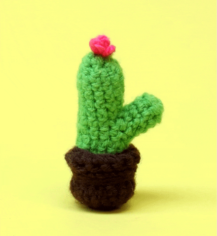 cactus knitting GIF by Phoenixpen