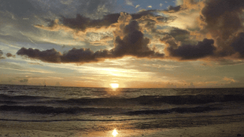 Beach Sunset GIF
