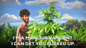weed GIF by Lil Dicky