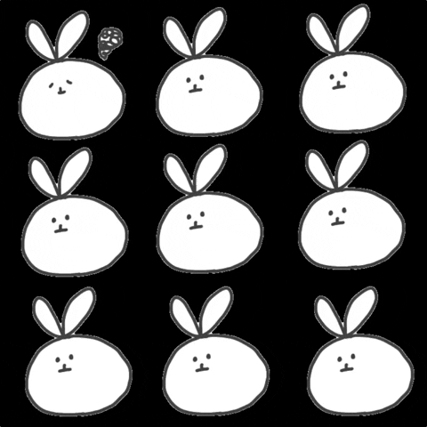 Rabbit GIF