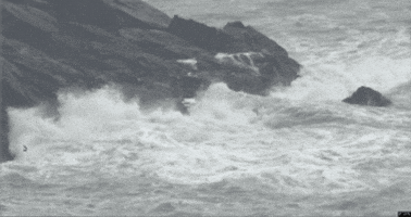 Wave GIF