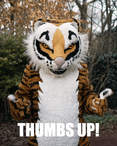 Tiger Mascot GIF by Princeton University