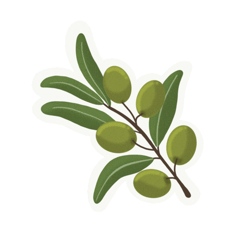 Olive Oil Palestine Sticker by Natalie Tahhan