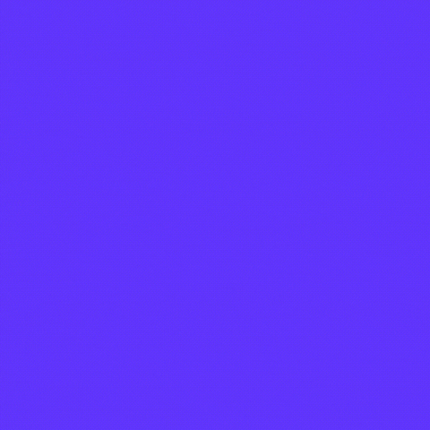 GIF by Social Shifters