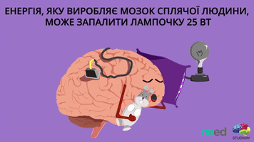 Necessary_Education  GIF