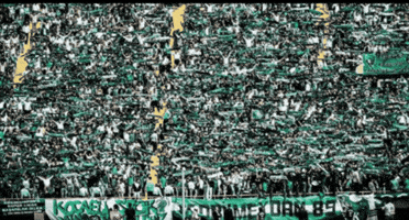 Kocaelispor GIF