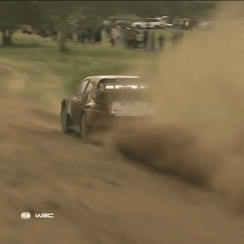 Car Driving GIF by FIA World Rally Championship