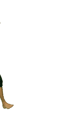 Pnp Kalango Sticker by Pescotapa Na Pantera