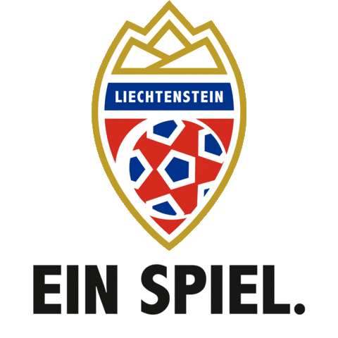 Soccer Fans Sticker by Liechtenstein Football Association