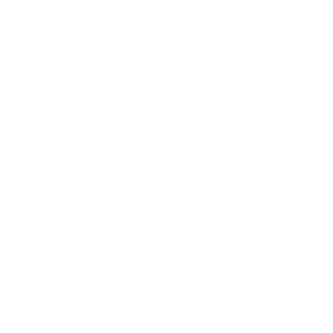 Pickle Life Sticker