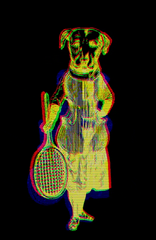 Walliserhof dog tennis wh violine GIF