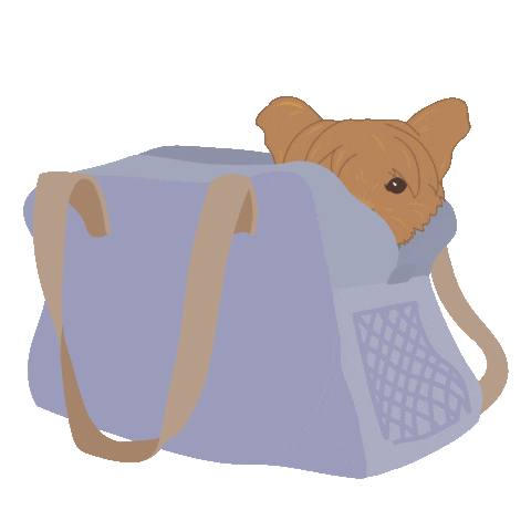 Sticker by dog on the go