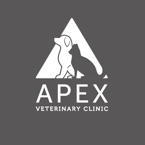 Apexvets GIF
