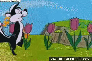 giphy.gif
