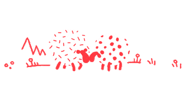 Sheep Bio Sticker by Biobauernhof Orth