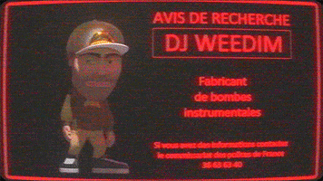 DJ WEEDIM GIF