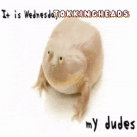 200.gif?cid=fc005b08cdf3505a4b62de571014bdab451acd9aac853eae&rid=200.gif&ct=g