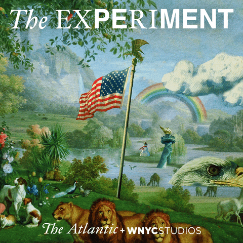 The Atlantic Gifs Get The Best Gif On Giphy