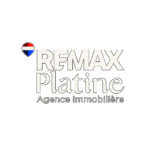RE/MAX Platine Sticker