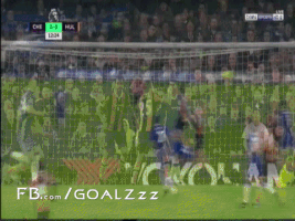 naderibrahim  GIF