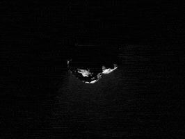 Comet GIF