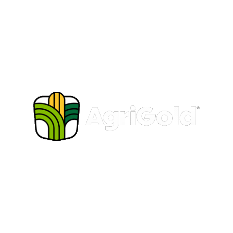 Corn Farming Sticker by AgriGold