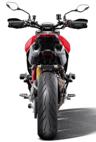 trydeal ducati motorcycle GIF