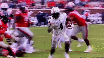 Touchdown GIF