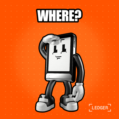 Confused Wait What GIF by Ledger