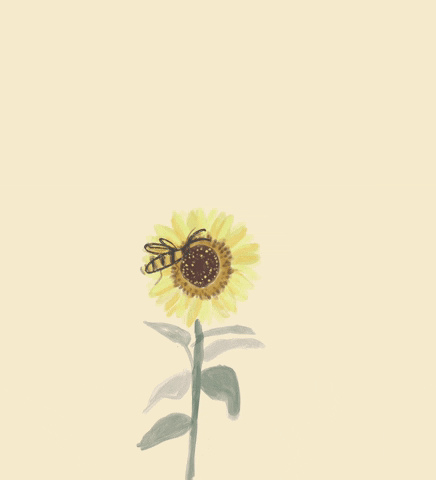 Flower Bee GIF
